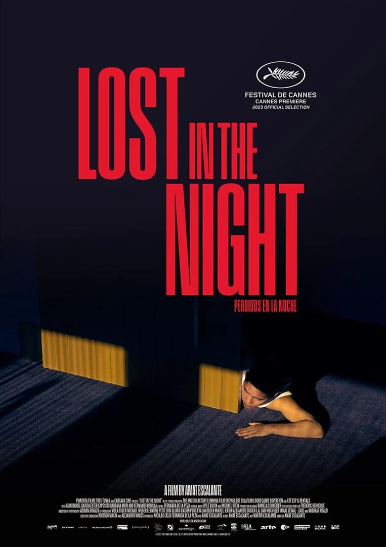 Affiche du film Lost In The Night